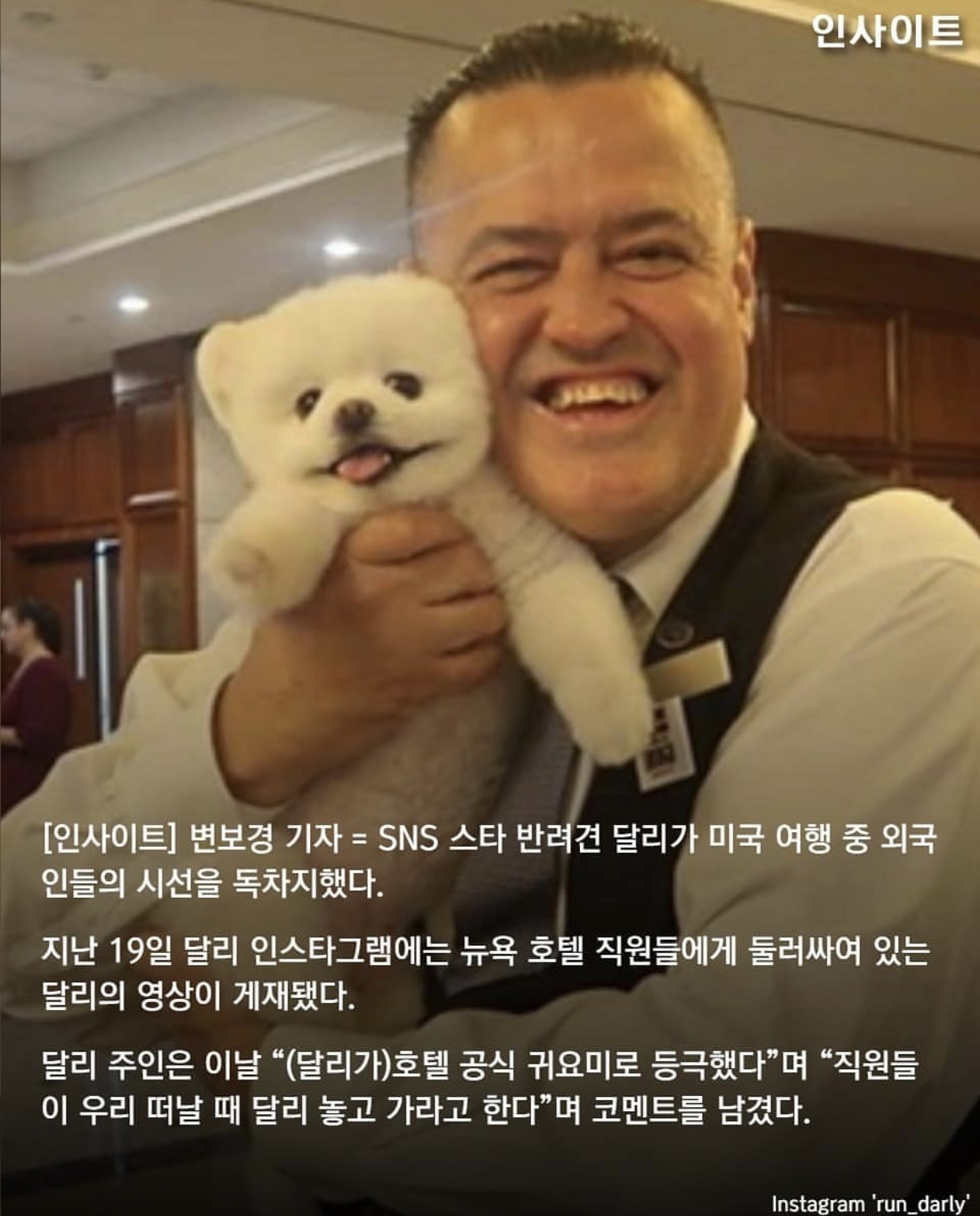 익들 사랑 받는 강아지 달리 알아?ㅠㅠㅠㅠㅠ | 인스티즈