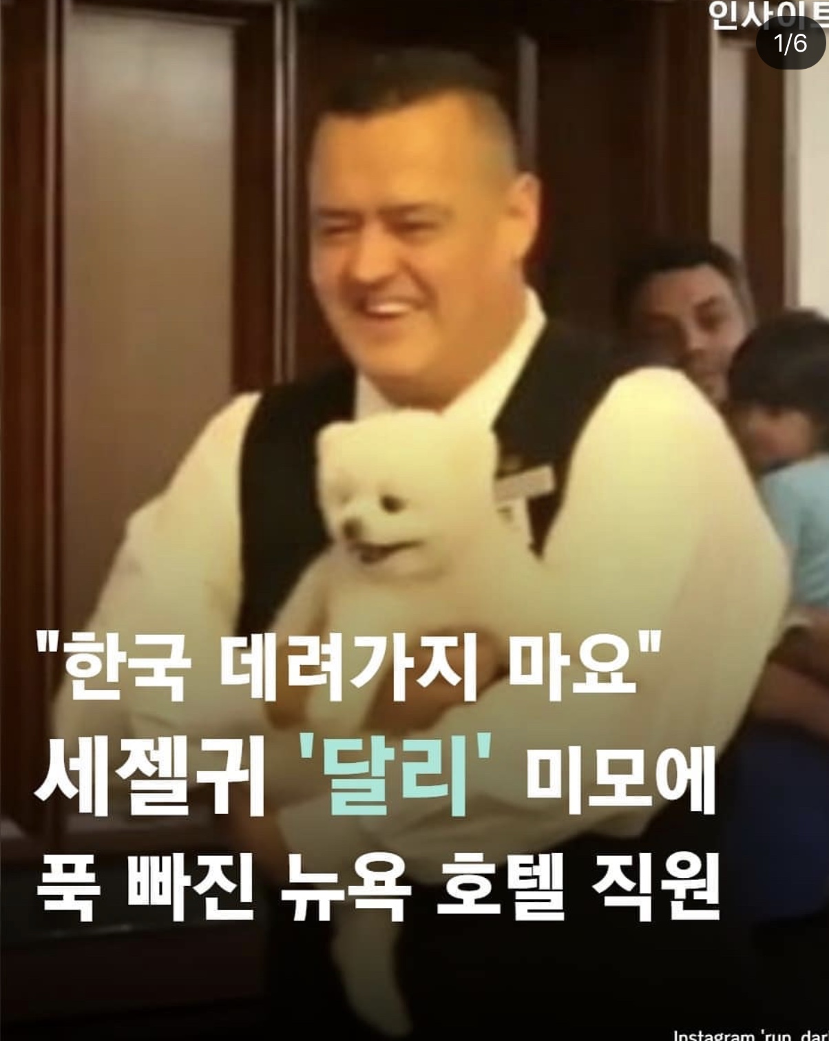 익들 사랑 받는 강아지 달리 알아?ㅠㅠㅠㅠㅠ | 인스티즈