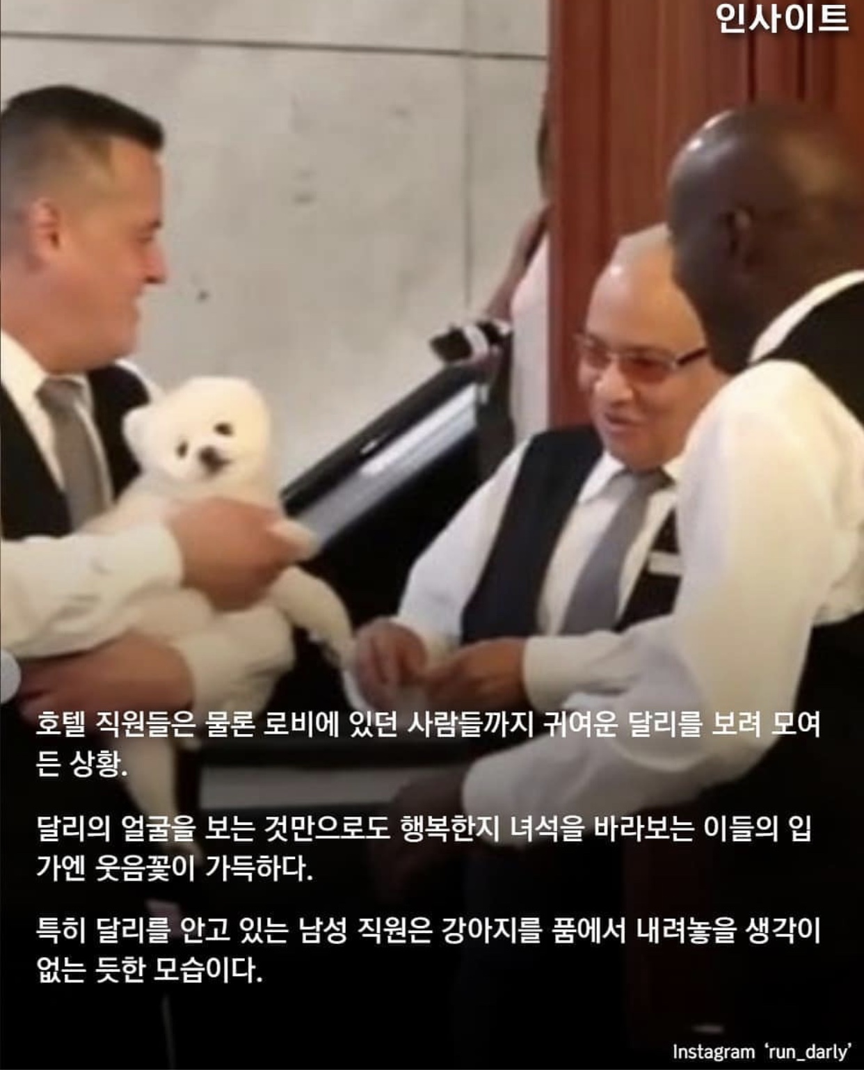 익들 사랑 받는 강아지 달리 알아?ㅠㅠㅠㅠㅠ | 인스티즈